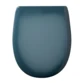 Bleu Paon