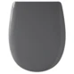 Gris souris