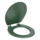 Vert foncé