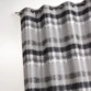 Gris clair