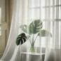 Voilages transparents sur mesure