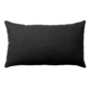 Gris anthracite