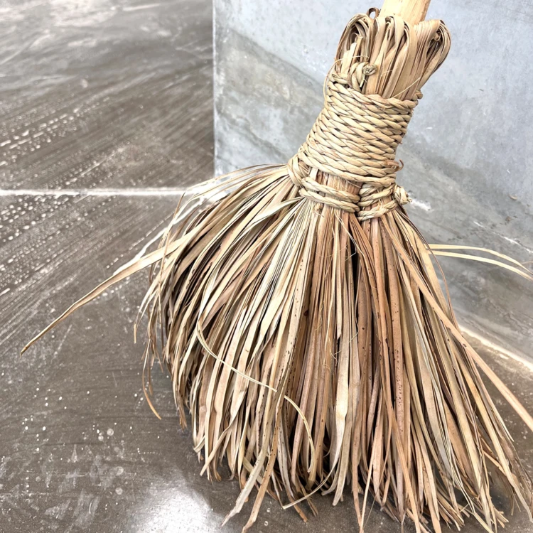 Canna da zucchero e palma da esterno