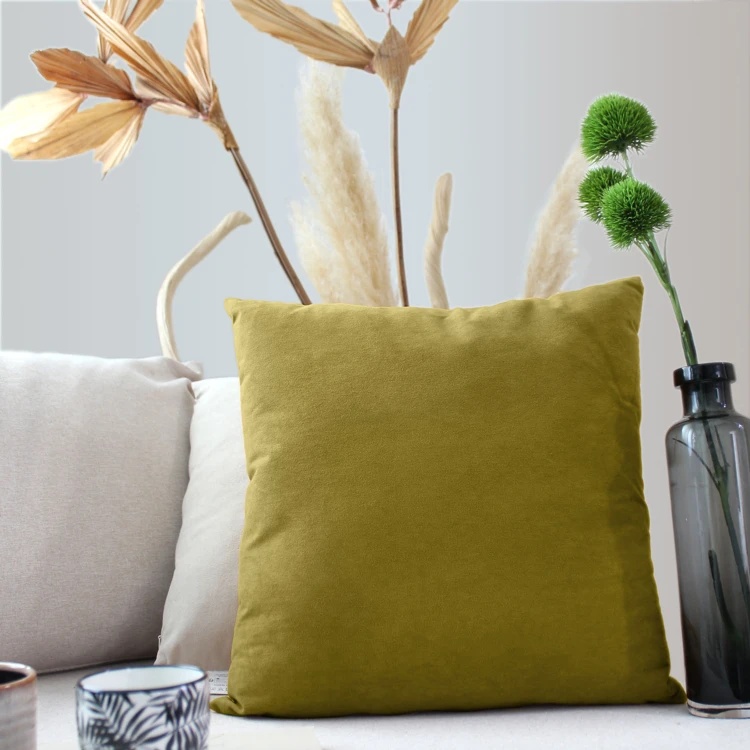 Coussin dehoussable en velours