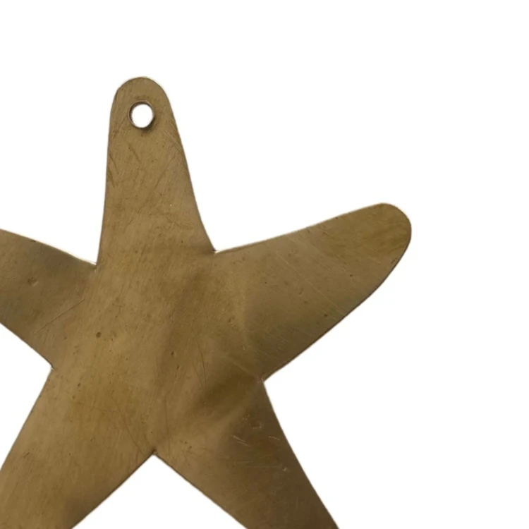 Wanddekoration Seestern aus Messing