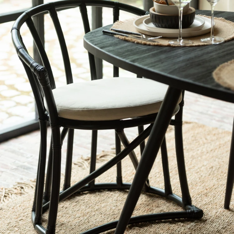 Chaise en rotin avec coussin
