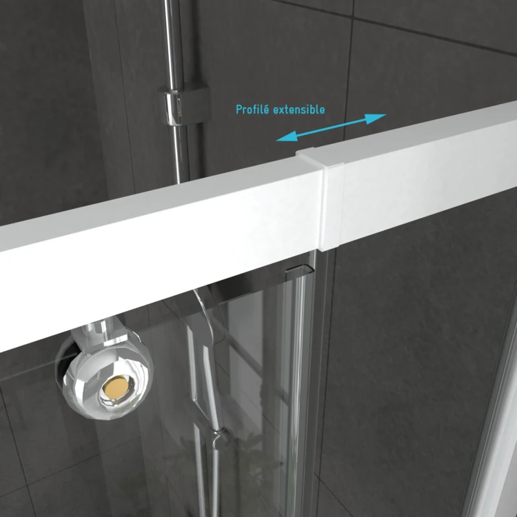 Porte de douche pivotante en verre trempé avec paroi de retour