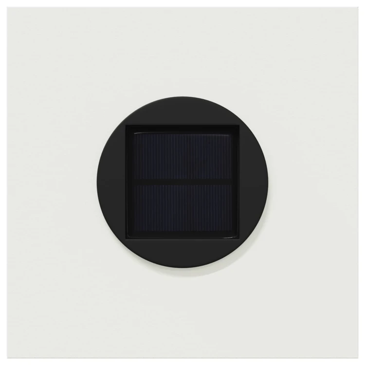 Lot de 2 lampes de chemin solaire LED extérieur végétal