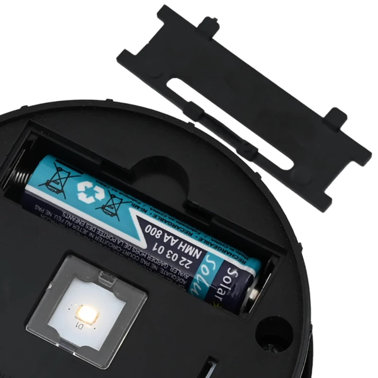 Lot de 2 lampes de chemin solaire LED extérieur végétal