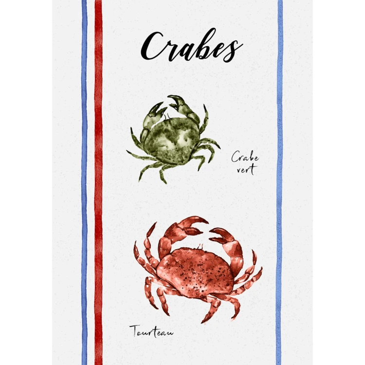 Lot de 3 torchons en coton lavé fruits de mer